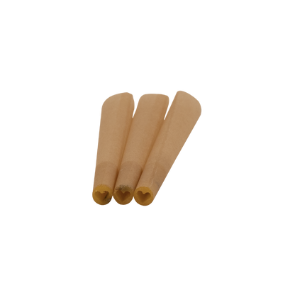 Beeswax Tip Cones with Cosmos Seeds - King Size [Master Case]