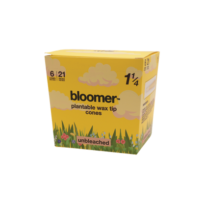 Bloomer - 1.25 Cones