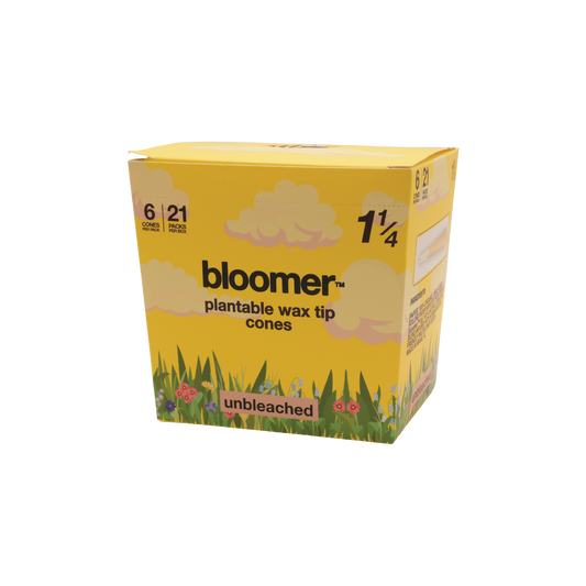 Bloomer - 1.25 Cones